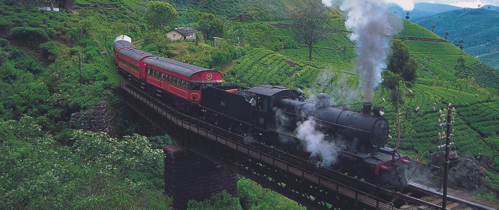 7-Day Sri Lankan Adventure - Experience the Best of Paradise Island